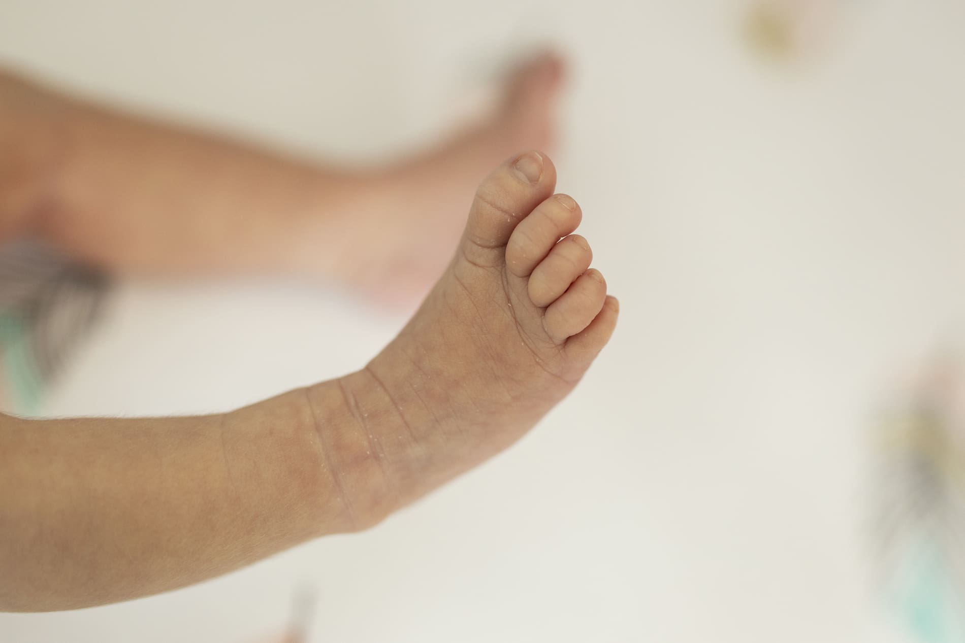 newborn baby feet macro details